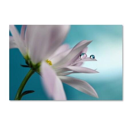 Trademark Fine Art Heidi Westum 'In Turquoise Company' Canvas Art, 16x24 1X00452-C1624GG